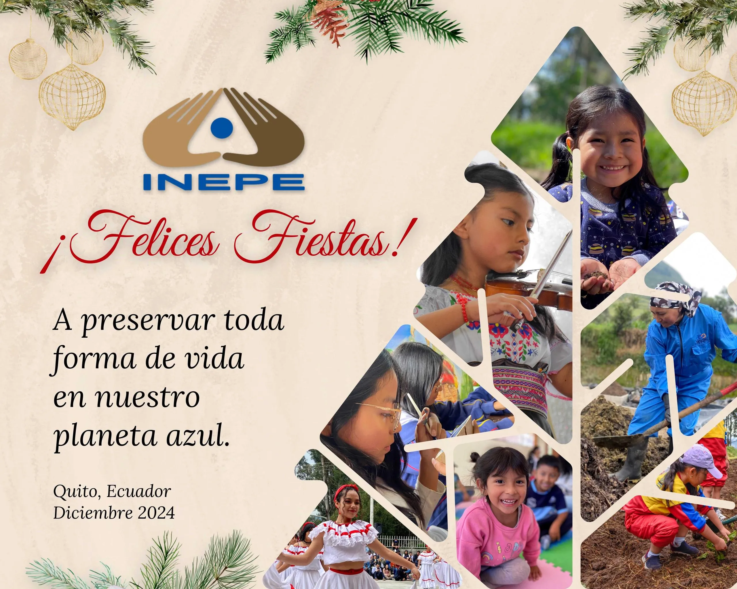 festas